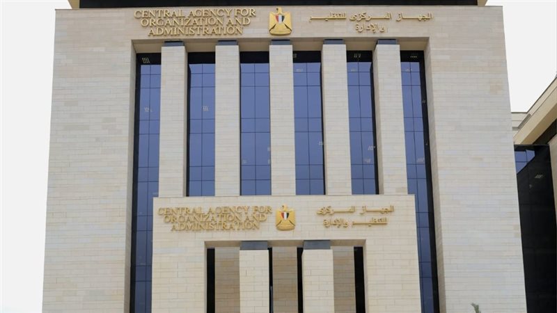 التنظيم والإدارة