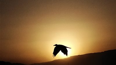 غروب السويس.. لوحة ربانية تأسر العيون على ممشى أهل السويس