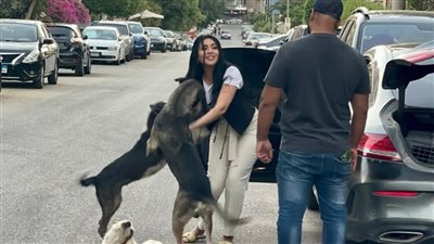 ميريهان حسين تدافع عن كلاب الشوارع: 