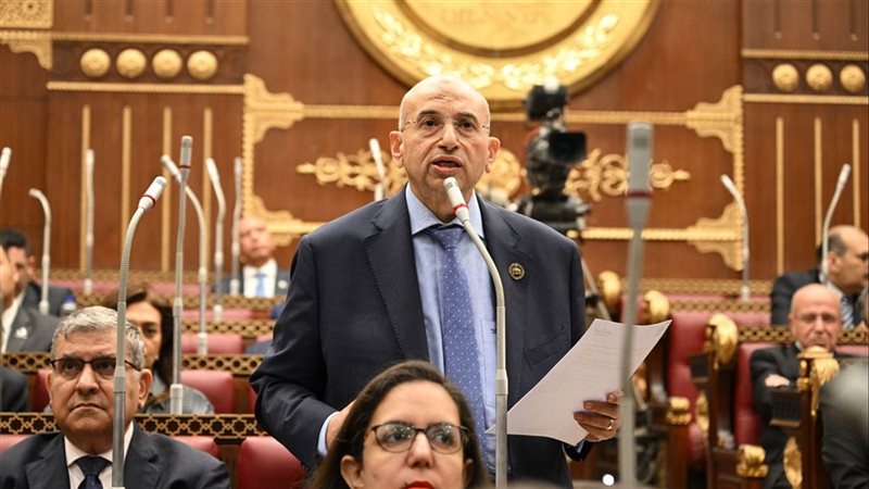 النائب أشرف عبد الغني