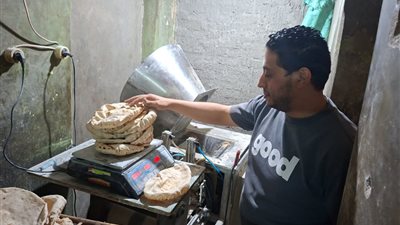 من أجل رغيف خبز.. تحرير 69 محضرًا خلال حملات رقابية مكثفة بالمحلة