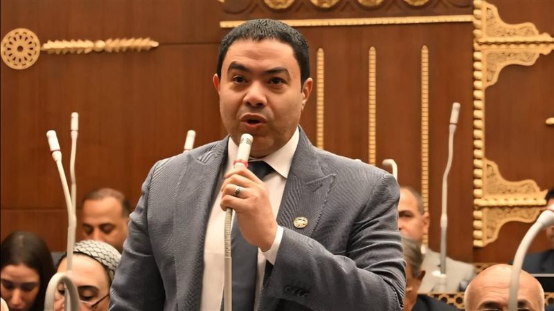  النائب إسماعيل الشرقاوي