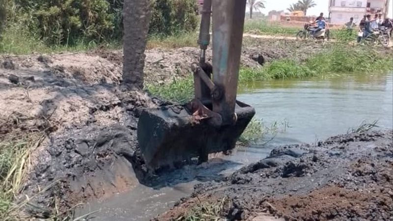 جانب من الحملة