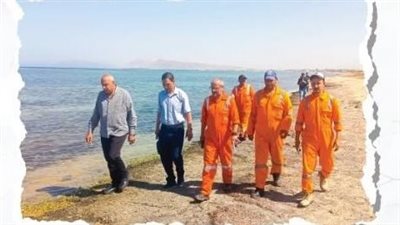 بعد تداول منشورات.. معاينة ميدانية تنفي وجود تسرب بترولي بطور سيناء