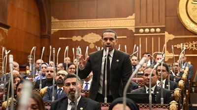 النائب محمد زكي: خطة التنمية الاقتصادية تحتاج لحوافز للاستثمار بصناعة السيارات