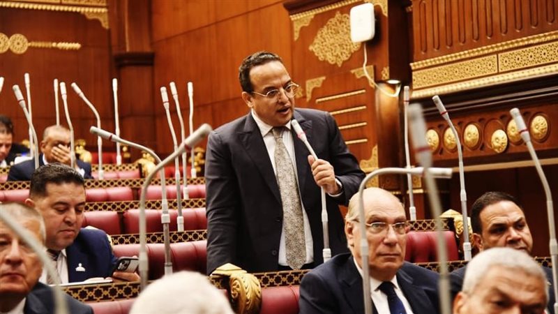 النائب أحمد الفار