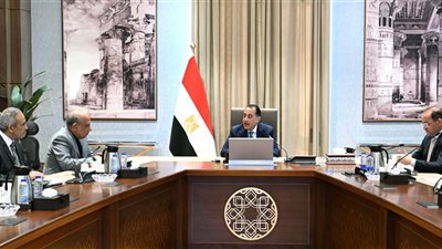 رئيس الوزراء يتابع توفير التمويل لمشروعات الطاقة الجديدة والمتجددة بشكل مستمر