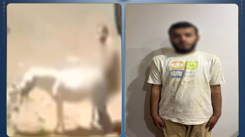 المتهم