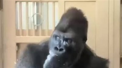 بعد 