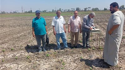 زراعة الشرقية: متابعة ميدانية وندوات إرشادية لرفع كفاءة الخدمات الزراعية