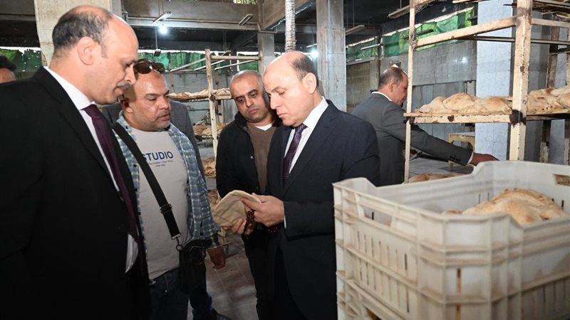 محافظ الغربية 