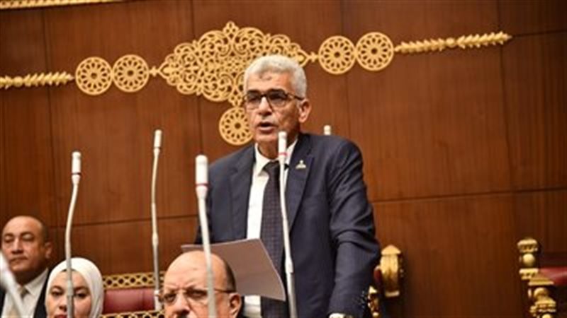  النائب محمد سلامة