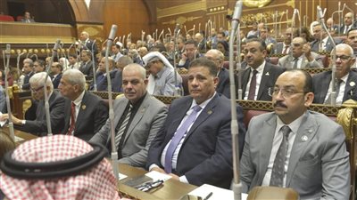 عبد العاطي أحمد: دعم المشروعات الصغيرة أساس لتحقيق النمو وفرص العمل في مصر