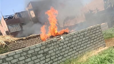 نفوق رؤوس ماشية إثر اندلاع حريق بحوش مواشى وشونة تبن بسوالم أبنوب