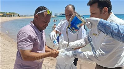 ندوات ومحاضرات توعوية بالمنيا والبحر الأحمر احتفالًا باليوم العالمي للبيئة 