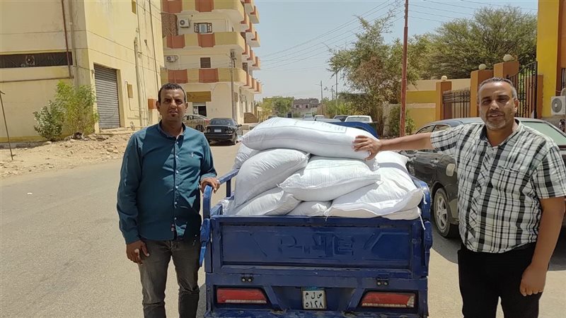 مفتشي الحملة 