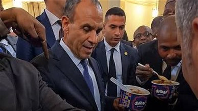 وزير الخارجية وسفراء