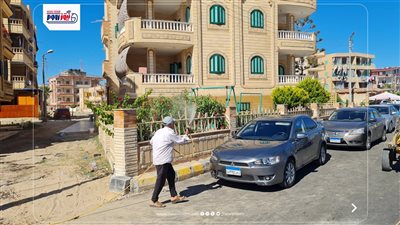 حملات مكثفة لمكافحة البعوض والحشرات الطائرة بمصيف بلطيم في كفر الشيخ