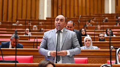 حسام حسن الخشت يتقدم بطلب إحاطة بشأن تعويضات نزع الملكية للمنفعة العامة