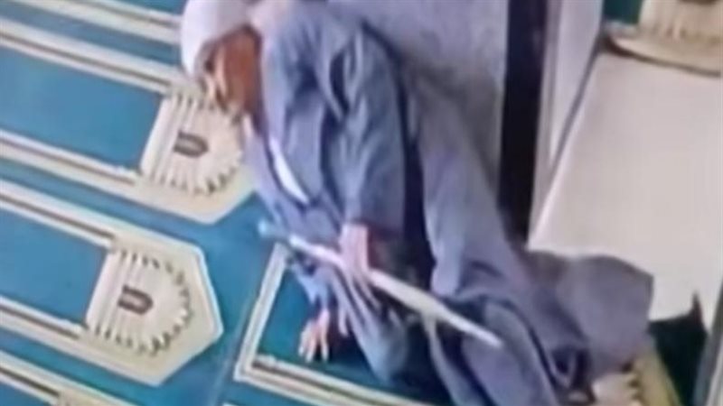 المسن 