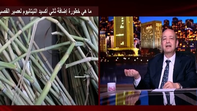 الإعلامي عمرو أديب