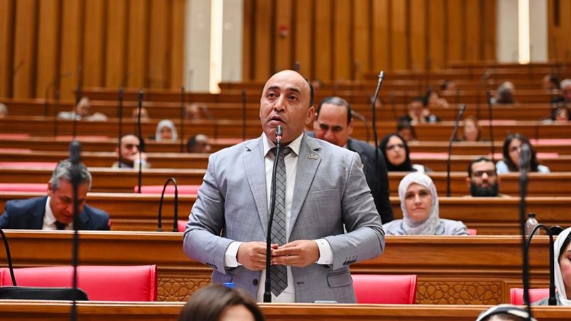  النائب حسام حسن