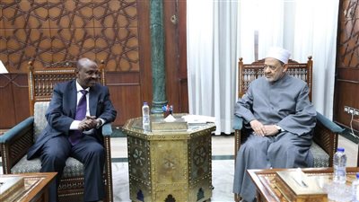 الإمام الأكبر لسفير جيبوتي: مستعدون لتوسيع لافتتاح مركز لتعليم اللغة العربية