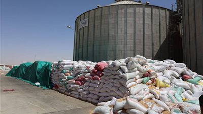 الغربية تواصل حصاد 