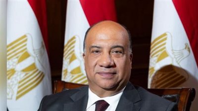 محمد مصيلحي يساند الإسماعيلي ب 100 ألف جنيه في أزمته الراهنة