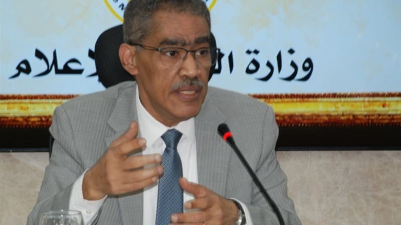 ضياء رشوان 