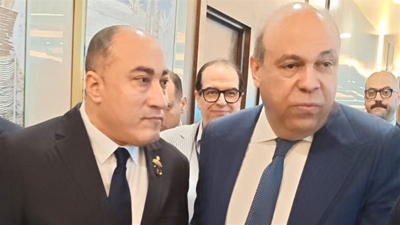 عمرو رشاد 