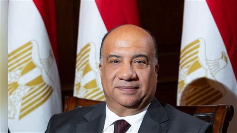 محمد مصيلحي