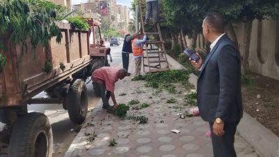 رئيس مدينة دمنهور يقود جولة ميدانية موسعة لمتابعة أعمال النظافة والتجميل 