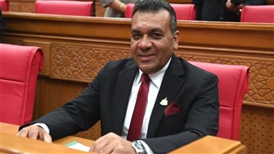 نائب: مشاركة الرئيس السيسي في قمة السبع تعكس دور مصر في مناقشة القضايا الدولية