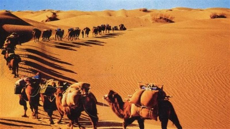 تعبيرية عن الهجرة