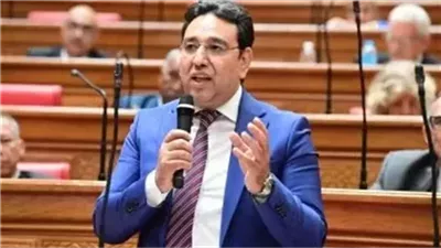 أيمن محسب: مصر نجحت في توظيف موقعها الاستراتيجي لتعزيز حضورها 