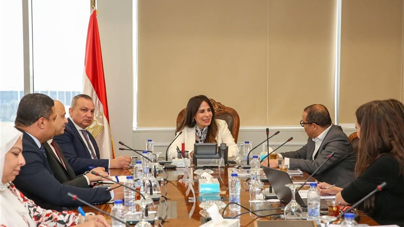 الاسكان