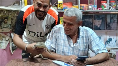 العثور على تمساح أسفل كوبري بقرية الفرعونية بالمنوفية