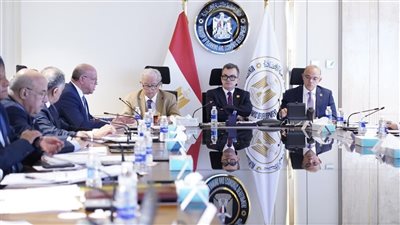 وزير التخطيط: فض تشابكات مالية بقيمة 196 مليار جنيه تعود بعضها  للثمانينيات 