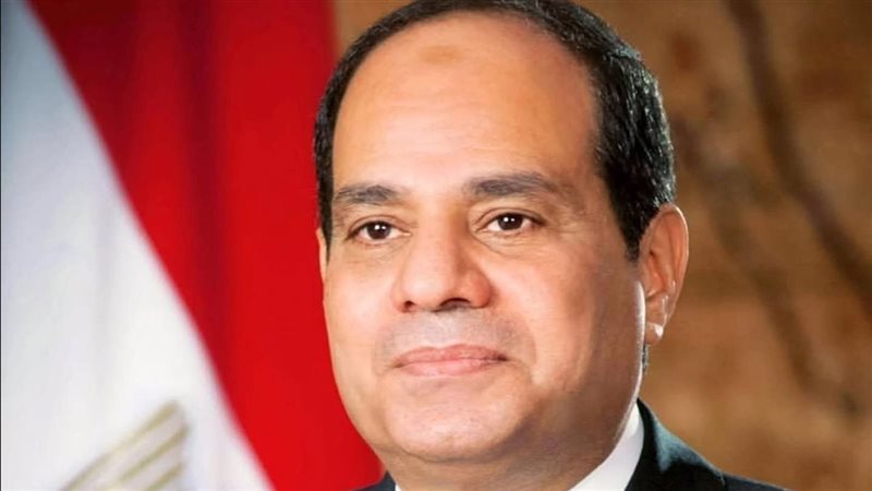 فخامة الرئيس السيسي 