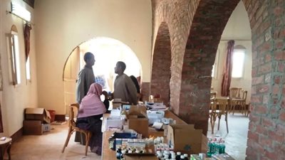 العلاج مجاناً لـ2000 مواطن.. قافلة طبية شاملة بقرى العون الغذائي بأسوان