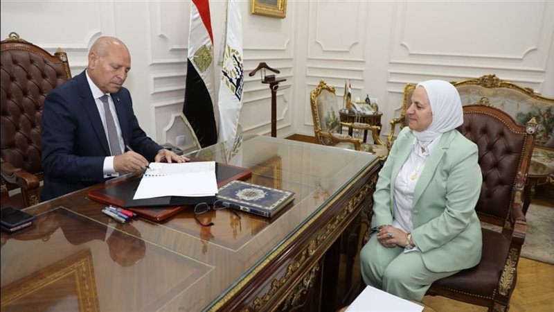 محافظ القاهرة 