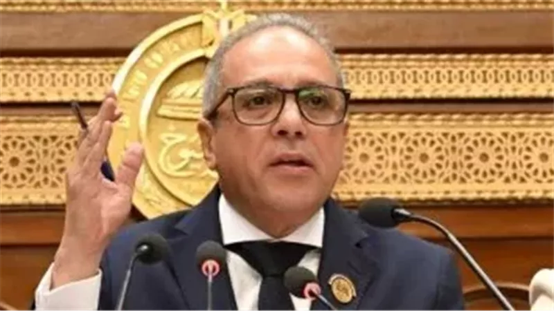  النائب أحمد حلمى