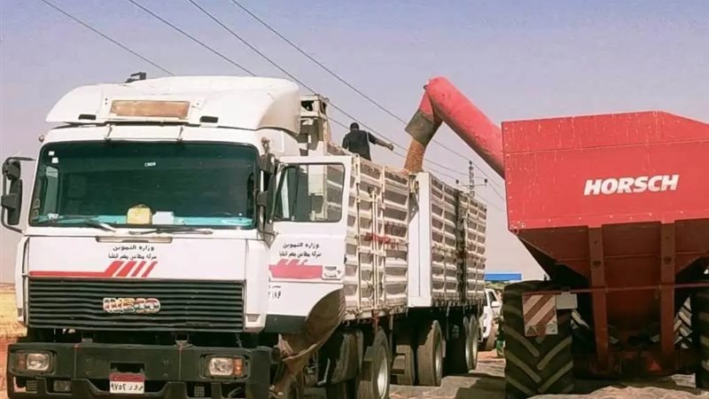  إنتظام توريد القمح