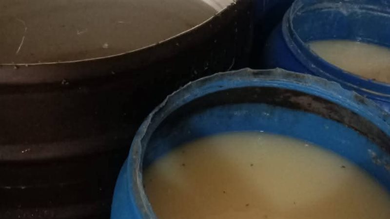 ضبط 500 كجم ألبان