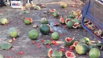 تصادم سيارة ملاكي بتروسيكل متوقف لبيع البطيخ بمدخل قرية دمو بالفيوم دون إصابات