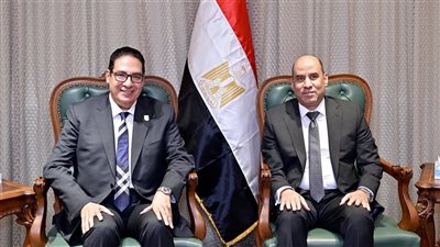 رئيس جامعة القاهرة ووزير العمل يناقشان آليات دعم تشغيل الخريجين وتأهيل الشباب 