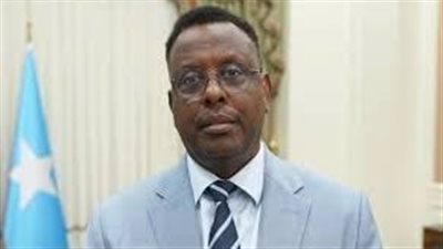 وزير العدل الصومالي: نرفض استخدام أراضينا كمنصة لاستهداف دول الجوار