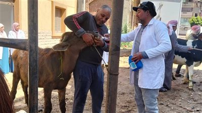 بيطري دمياط يحقق معدلات مميزة في الرعاية والعلاج ويعزز خدمات الثروة الحيوانية 