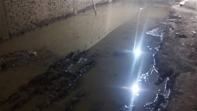 أهالي قرية برشوم الصغرى بطوخ يستغيثون بعد غرق شارع النادي بالمياه والطين